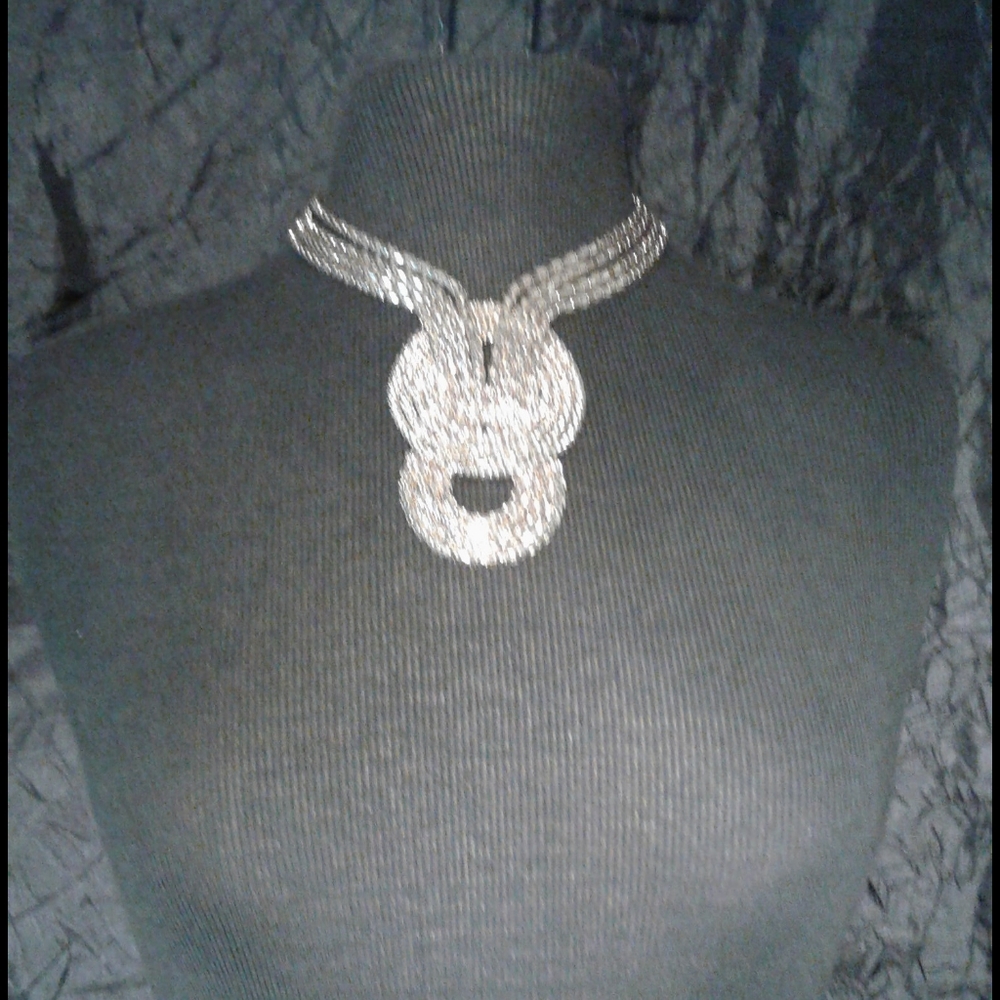 Express Statement Necklace - image 3